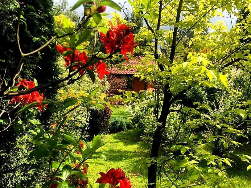 Secret Garden Residence Пашковка Екстериор снимка