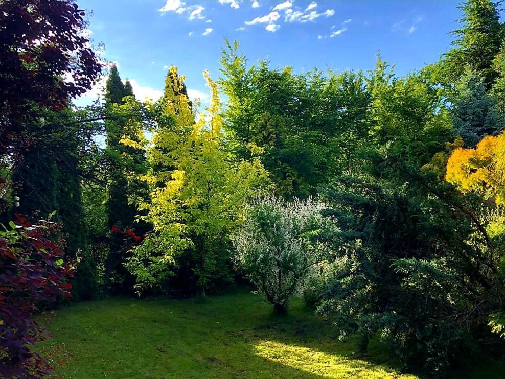 Secret Garden Residence Пашковка Екстериор снимка